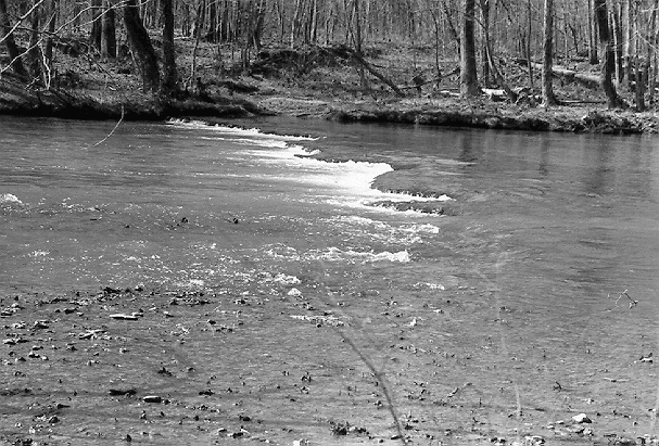 Travelers on the Trace crossed a shallow section of the Buffalo River here at Metal Ford.